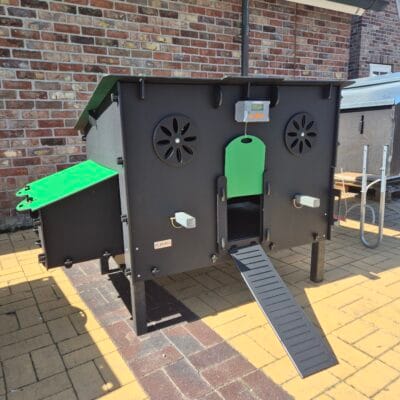 Pluverdi kippenhok Milan