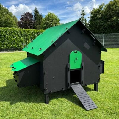 Pluverdi kippenhok Brussels